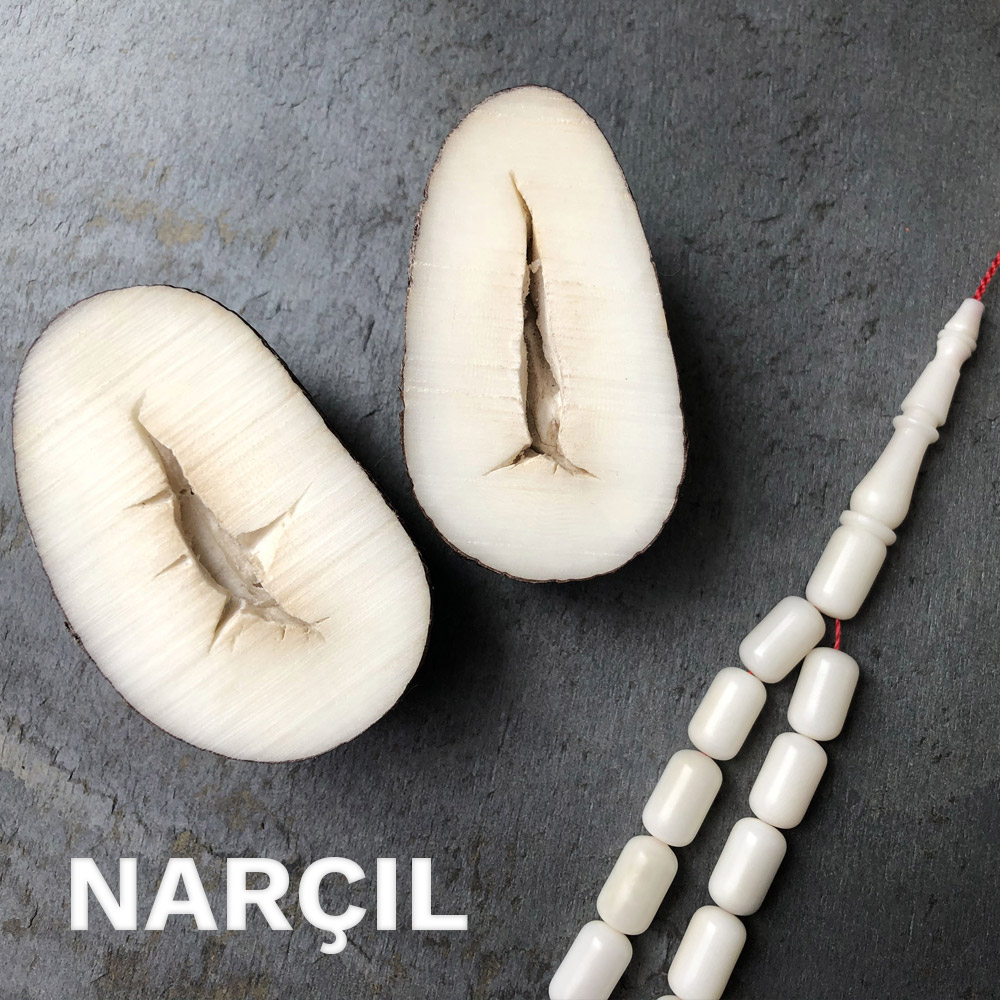 Narçıl Nedir?